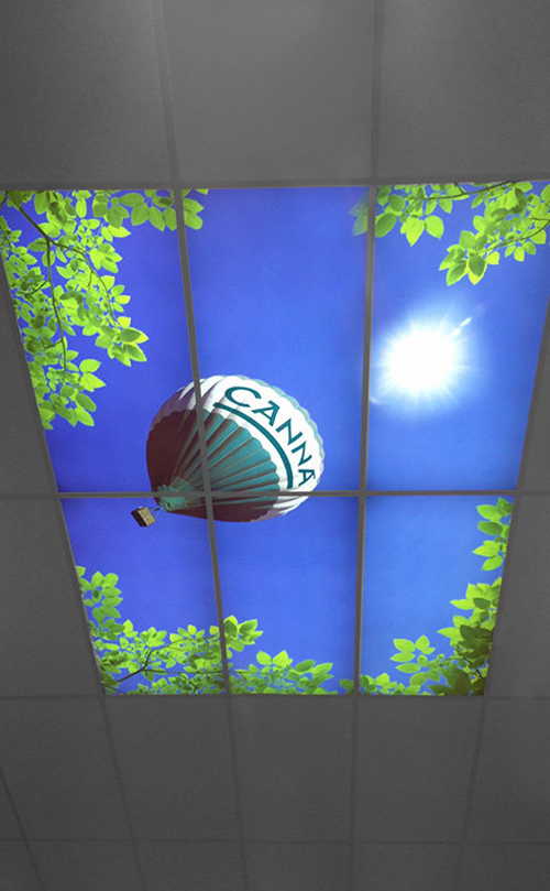 Generaliseren Somatische cel Super goed LED Plafond 120×60 - Beurspresentaties.nl | Modulaire Standbouw
